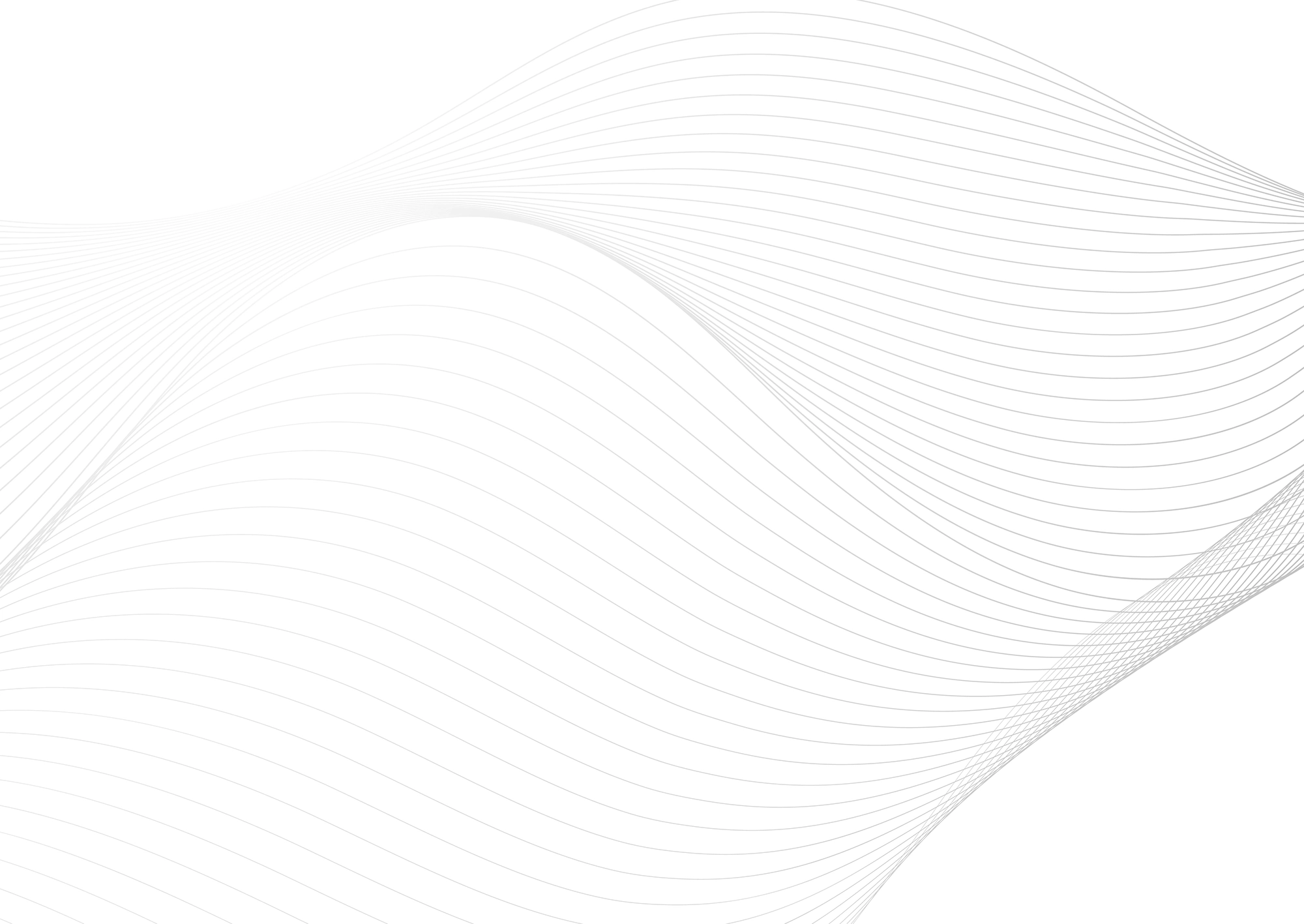 Web Site Tasarımcısı, İnegöl